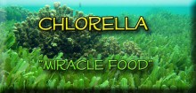 Bottom of a lake with caption "Chlorella Miracle food"