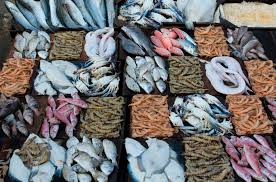 Fish displayed on a fishmarket stall